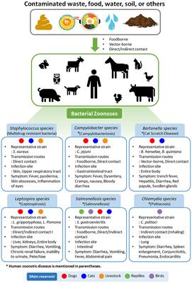 Frontiers | Zoonotic Diseases and Phytochemical Medicines for Microbial  Infections in Veterinary Science: Current State and Future Perspective