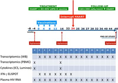 Frontiers Gene Expression Signatures Associated With