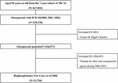 Osteoporosis Protocol Flow Chart