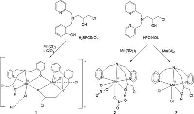 Frontiers A New Mixed Valence Mn Ii Mn Iii Compound With Catalase And Superoxide Dismutase Activities Chemistry