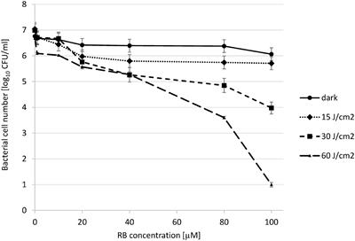 Frontiers Rose Bengal Mediated Photoinactivation Of Multidrug