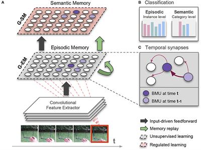 lifelong learning deep learning