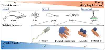 high velocity spherical microbots