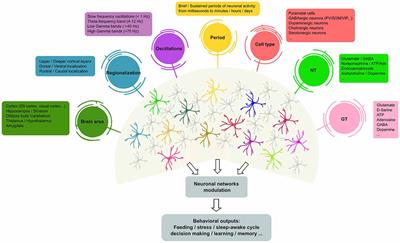 Multiple forms of working memory emerge from synapse–astrocyte interactions  in a neuron–glia network model