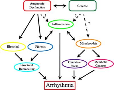 arrhythmia and low blood sugar
