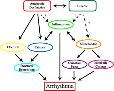 diabetes atrial fibrillation cause