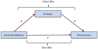 Frontiers Resilience As A Mediator Of Emotional Intelligence And Perceived Stress A Cross Country Study Psychology