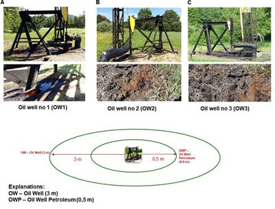 Frontiers Genetic And Functional Diversity Of Bacterial Microbiome In Soils With Long Term Impacts Of Petroleum Hydrocarbons Microbiology