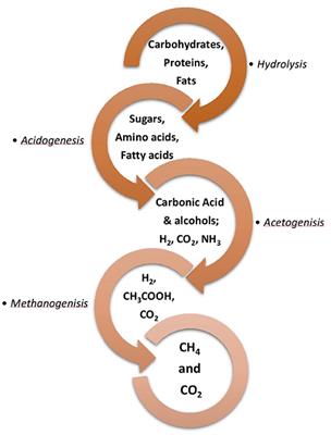 Biogas production through anaerobic co-digestion of rice husk and