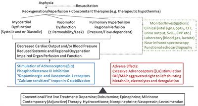 Frontiers  Hemodynamic and Metabolic Assessment of Neonates With