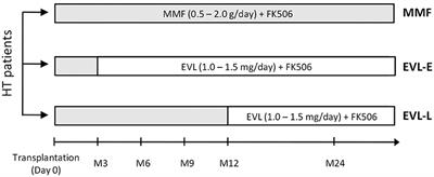 Frontiers Early Everolimus Initiation Fails To Counteract The Cytotoxic Response Mediated By Cd8 T And Nk Cells In Heart Transplant Patients Immunology