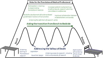 Frontiers The Translational Medicine Professional A Bridge