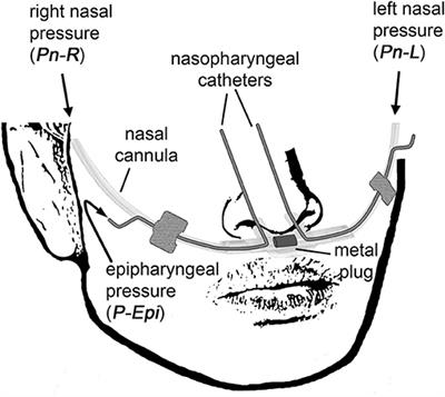 nasal pressure