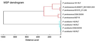Frontiers In Vitro Assessment Of The Probiotic Properties And Bacteriocinogenic Potential Of Pediococcus Pentosaceus Mzf16 Isolated From Artisanal Tunisian Meat Dried Ossban Microbiology