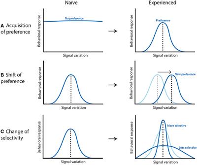 Frontiers | The Role of Learning on Insect and Spider Sexual Behaviors ...