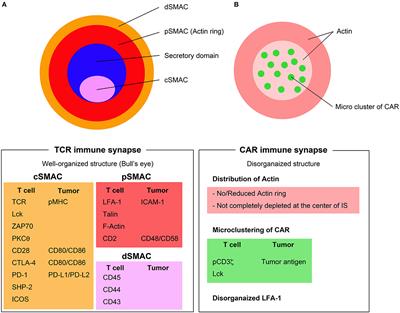 frontiers expanding the therapeutic