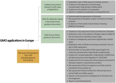 I. Introduction to Genetically Modified Seeds