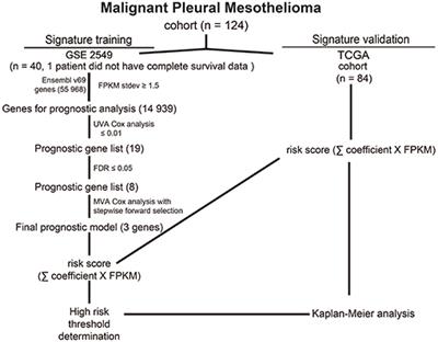 will radiation therapy cause cancer