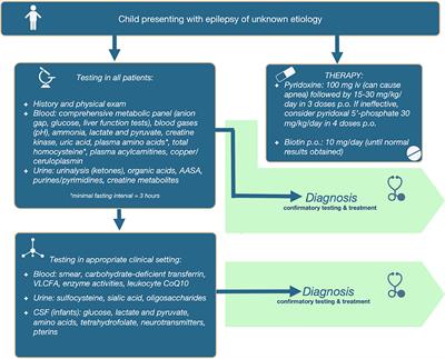 Frontiers Metabolic Evaluation Of Epilepsy A Diagnostic