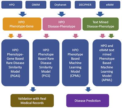 OMIM diseases as a function of associated HPO phenotypes. Data include