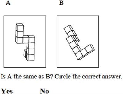 Frontiers | Sex Differences in the Performance of 7â€“12 Year Olds on a  Mental Rotation Task and the Relation With Arithmetic Performance