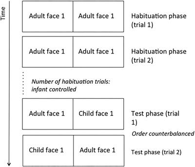 Frontiers | The Novelty Effect as a Predictor of Language Outcome