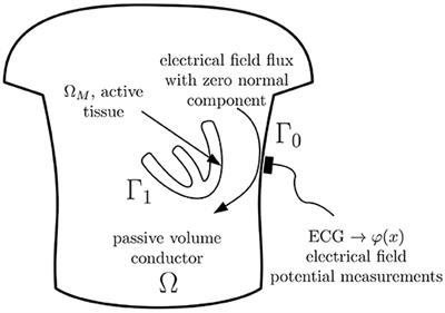 Frontiers Solving The Inverse Problem Of Electrocardiography On The Endocardium Using A Single Layer Source Physiology