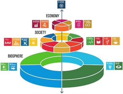 Assessing the land resource-food price nexus of the Sustainable