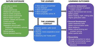 Frontiers | Do Experiences With Nature Promote Learning? Converging Evidence of | Psychology