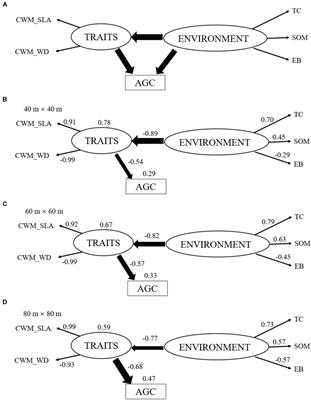 Frontiers Plant Functional Traits Are The Mediators In Regulating Effects Of Abiotic Site Conditions On Aboveground Carbon Stock Evidence From A 30 Ha Tropical Forest Plot Plant Science Frontiers Plant Functional Traits Are The Mediators In Regulating Effects Of Abiotic Site Conditions On Aboveground Carbon Stock Evidence From A 30 Ha Tropical Forest Plot Plant Science