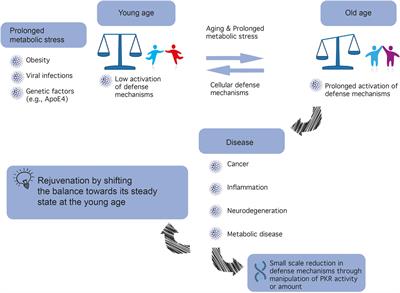 Frontiers | PKR: A Kinase to Remember