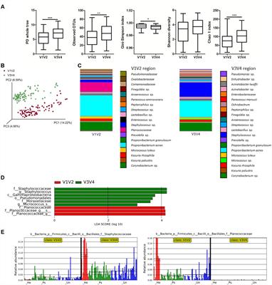 dysbiosis psoriasis