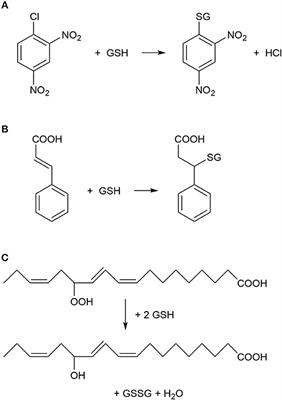 Frontiers Glutathione S Transferase Enzymes In Plant Pathogen Interactions Plant Science Frontiers Glutathione S Transferase Enzymes In Plant Pathogen Interactions Plant Science