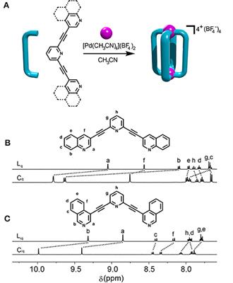Frontiers Anticancer Activity And Cisplatin Binding Ability Of Bis Quinoline And Bis Isoquinoline Derived Pd2l4 4 Metallosupramolecular Cages Chemistry