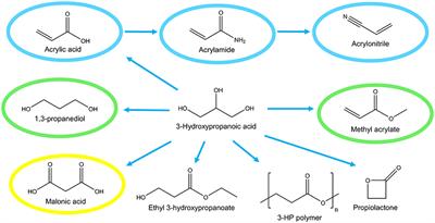 Frontiers Production Of 3 Hydroxypropanoic Acid From Glycerol By Metabolically Engineered Bacteria Bioengineering And Biotechnology