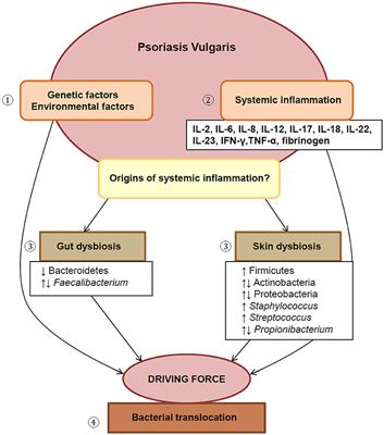 dysbiosis uk)