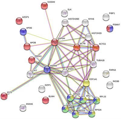 Frontiers Ifit5 Participates In The Antiviral Mechanisms Of