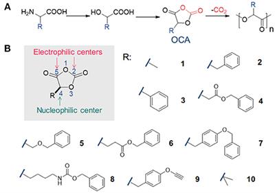 Frontiers Living Ring Opening Polymerization Of O Carboxyanhydrides The Search For Catalysts Chemistry