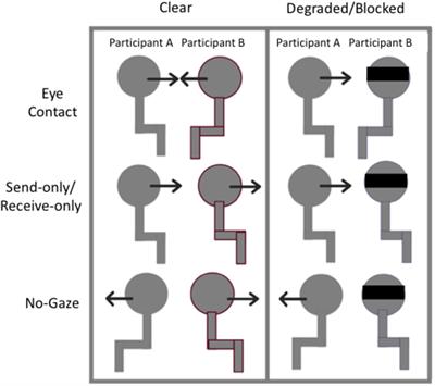 Gaze and Eye Contact Research, PDF