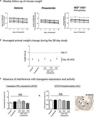 sabal serrulata prostate cancer