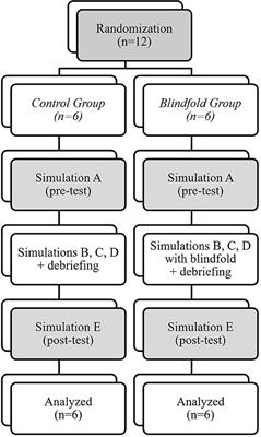 Frontiers  Effects of Blindfold on Leadership in Pediatric Resuscitation  Simulation: A Randomized Trial