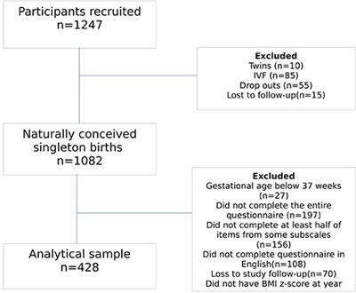 Frontiers Longitudinal Analysis Between Maternal Feeding