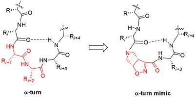 Frontiers Bicyclic Pyrrolidine Isoxazoline G Amino Acid A Constrained Scaffold For Stabilizing A Turn Conformation In Isolated Peptides Chemistry
