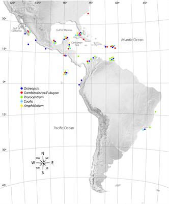 Frontiers A Review On The Biodiversity And Biogeography Of - 