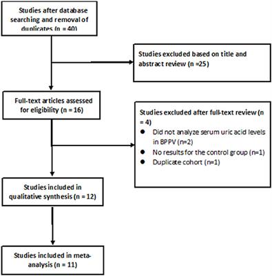 Frontiers  Correlation Between Benign Paroxysmal Positional