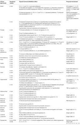 Frontiers Thyroid Hormones And Cancer A Comprehensive Review Of