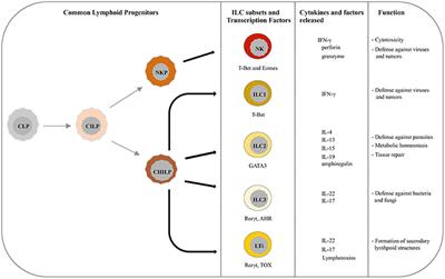 pathological condition lle pathological condition lle