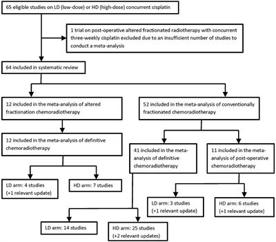 PDF) A Multicenter Phase II Trial of Docetaxel, Cisplatin, and Cetuximab ( TPEx) Followed by Cetuximab and Concurrent Radiotherapy for Patients With  Local Advanced Squamous Cell Carcinoma of the Head and Neck (CSPOR