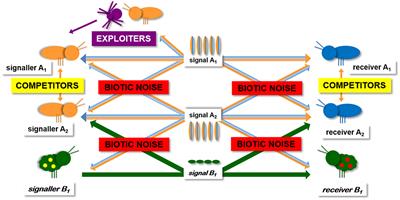 Frontiers | Predator-Prey Interactions and Eavesdropping in Vibrational  Communication Networks