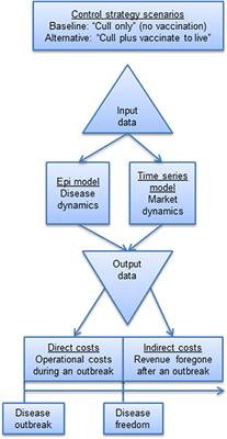 Frontiers | Framework for Estimating Indirect Costs in Animal Health Using Time Series Analysis Frontiers | Framework for Estimating Indirect Costs in Animal Health Using Time Series Analysis